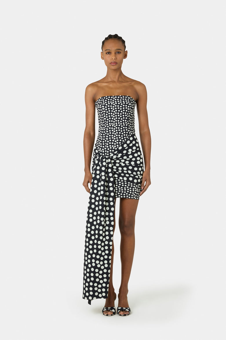 Gaja Printed Dress   1