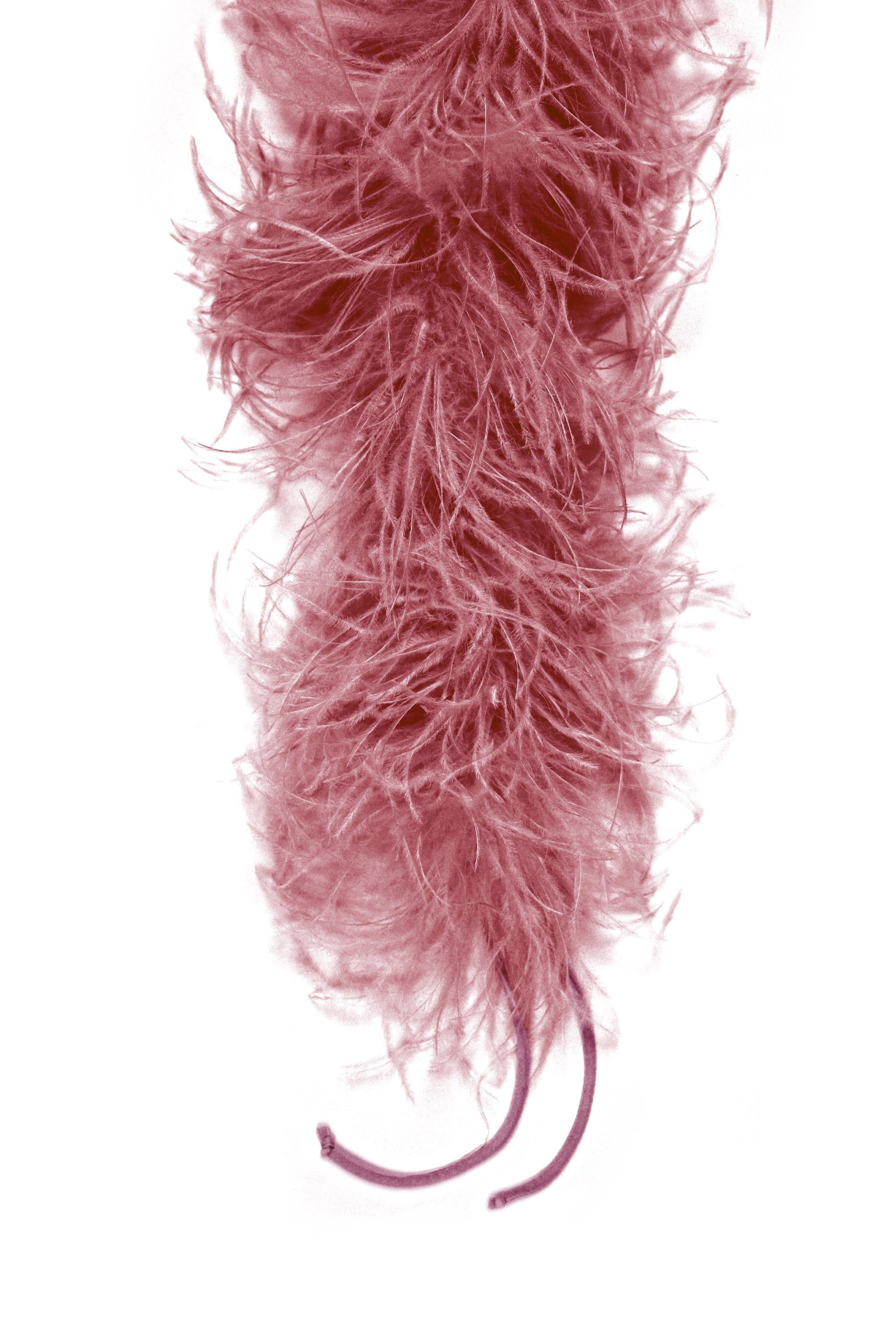 FEATHERS BOA Chiara Boni Official